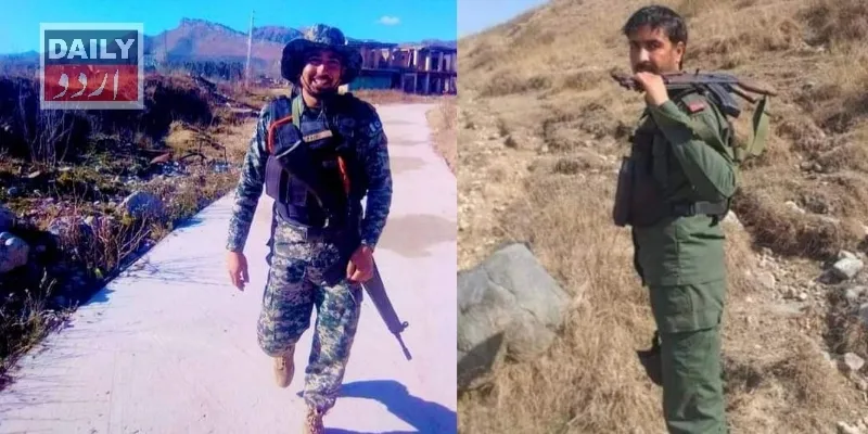 دہشتگردی