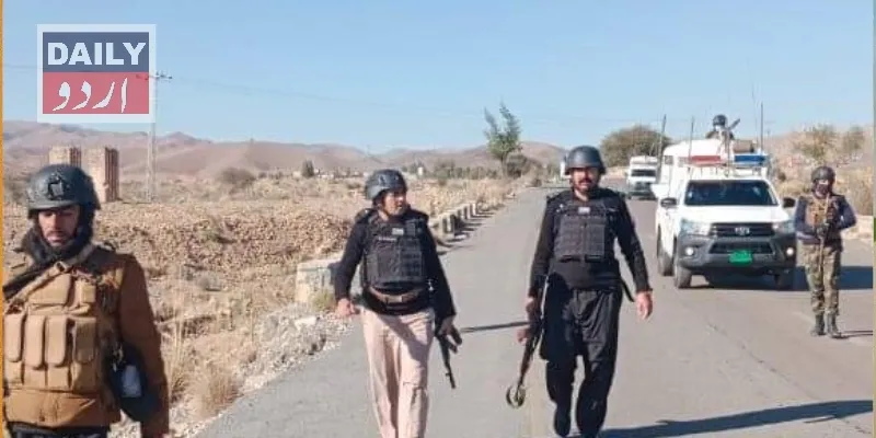 دہشتگردی
