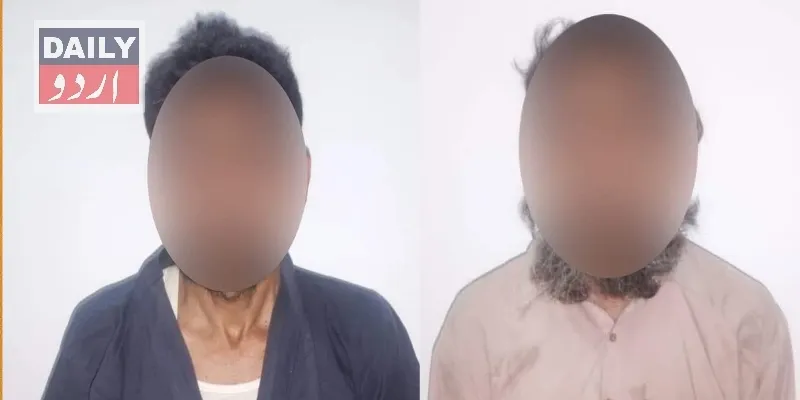 دہشتگردی