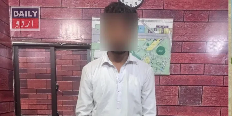 دہشتگردی