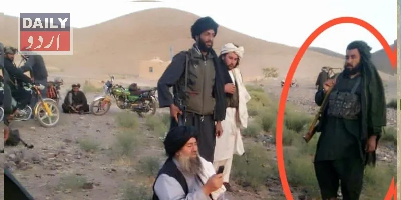 دہشتگردی