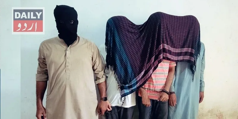 دہشتگردی