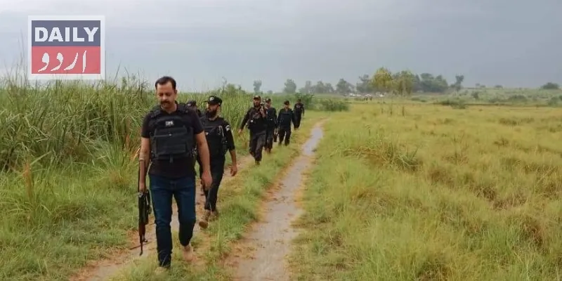 دہشتگردی
