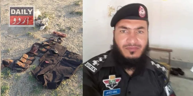 دہشتگردی