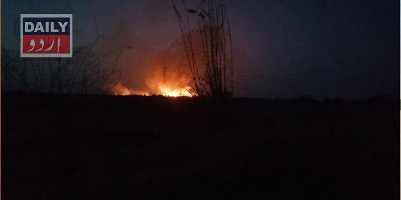 دہشتگردی