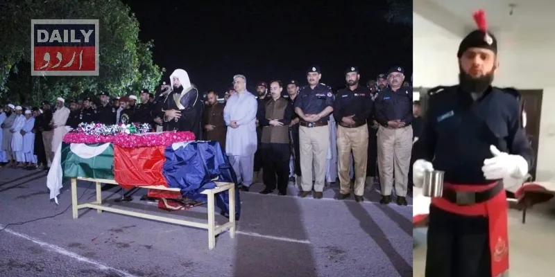 دہشتگردی
