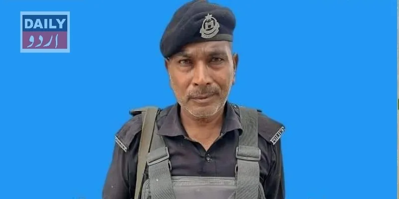 دہشتگردی