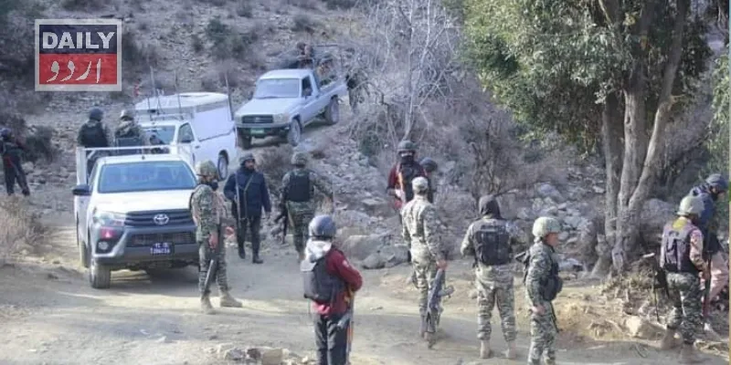 دہشتگردی