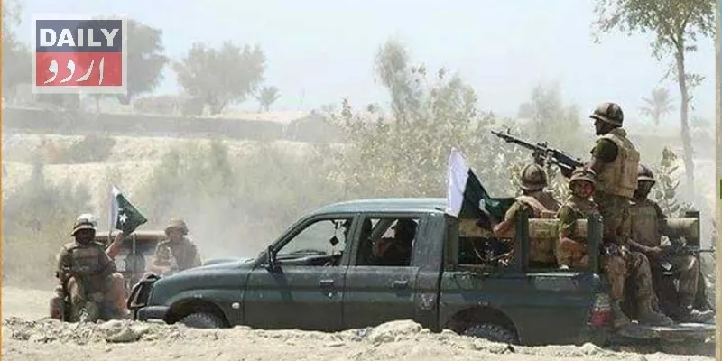 دہشتگردی