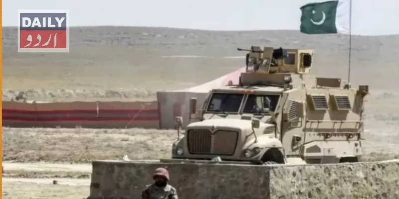 دہشتگردی
