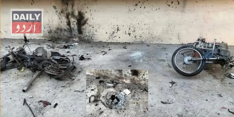 دہشتگردی