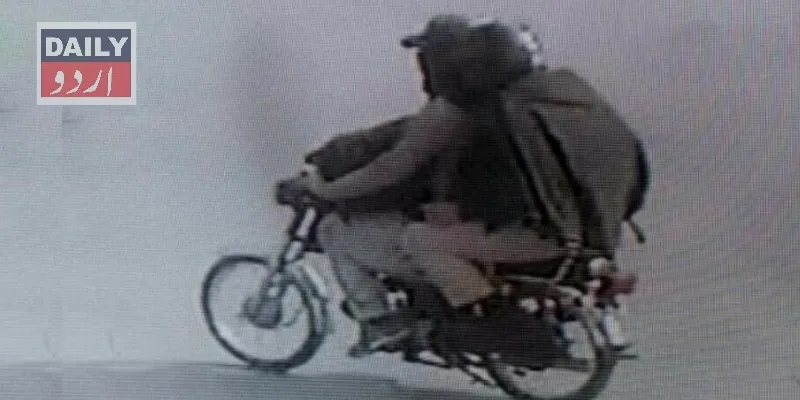 دہشتگردی