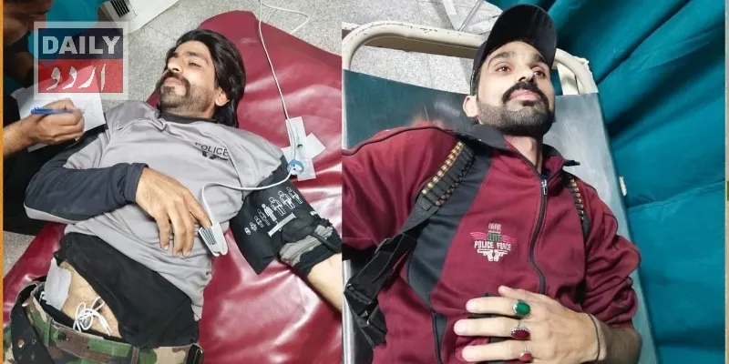 دہشتگردی