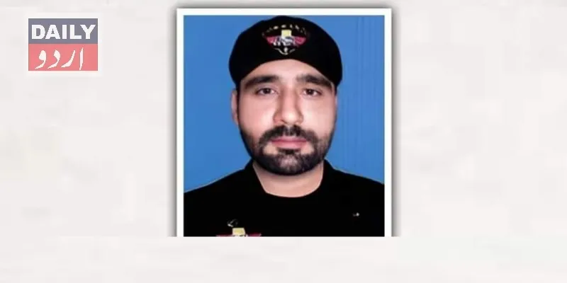 دہشتگردی