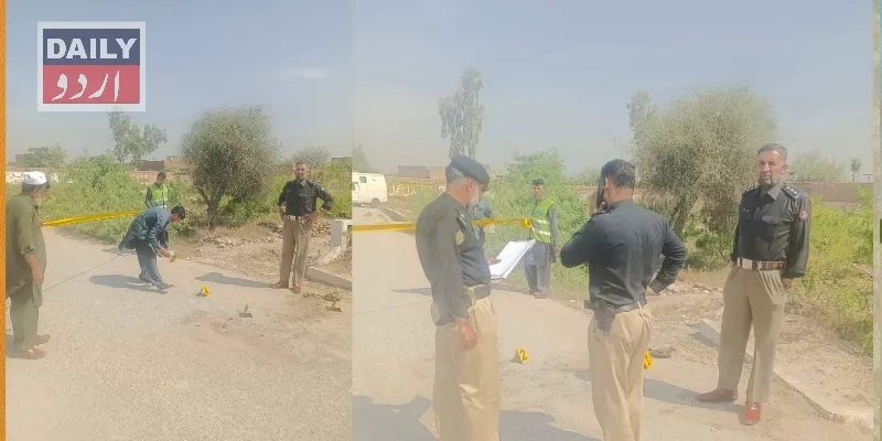 دہشتگردی