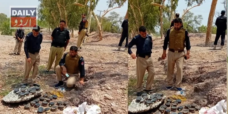 دہشتگردی