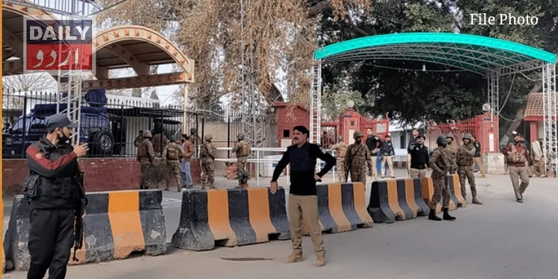 دہشتگردی