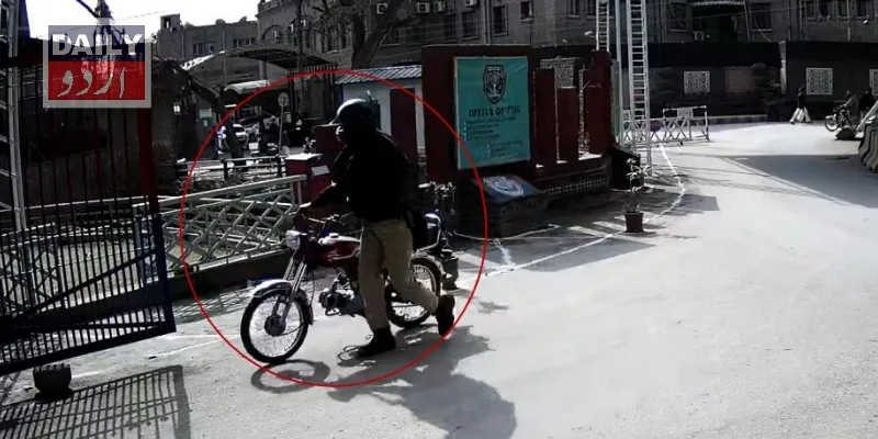 دہشتگردی