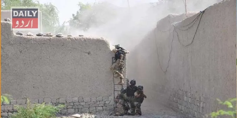 دہشتگردی