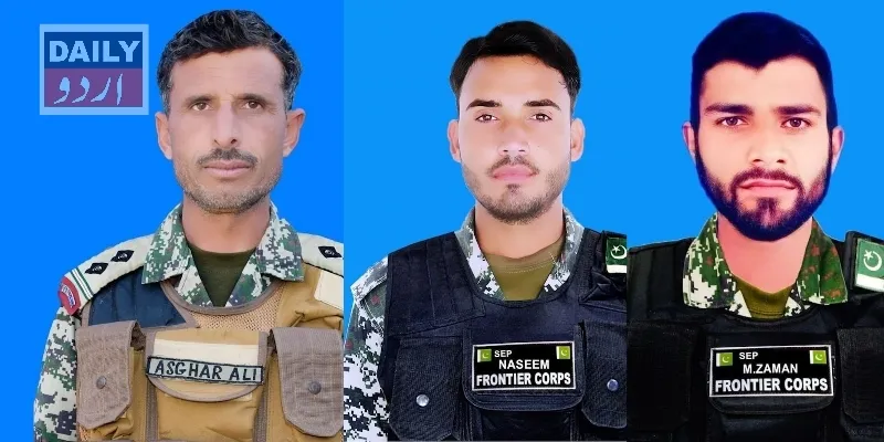 دہشتگردی