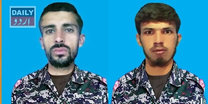 دہشتگردی