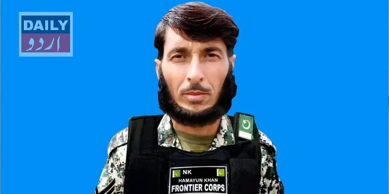 دہشتگردی
