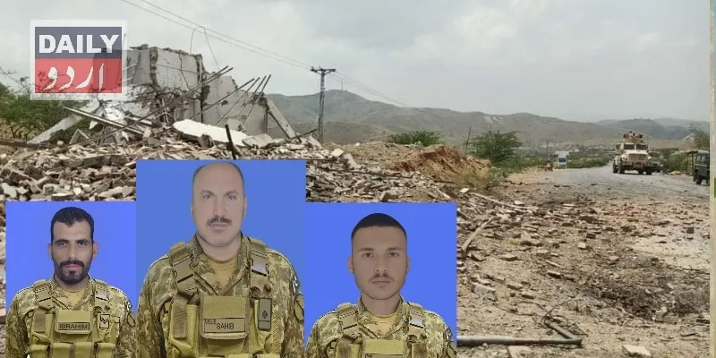 دہشتگردی