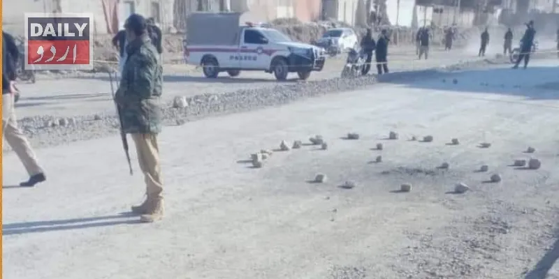 دہشتگردی