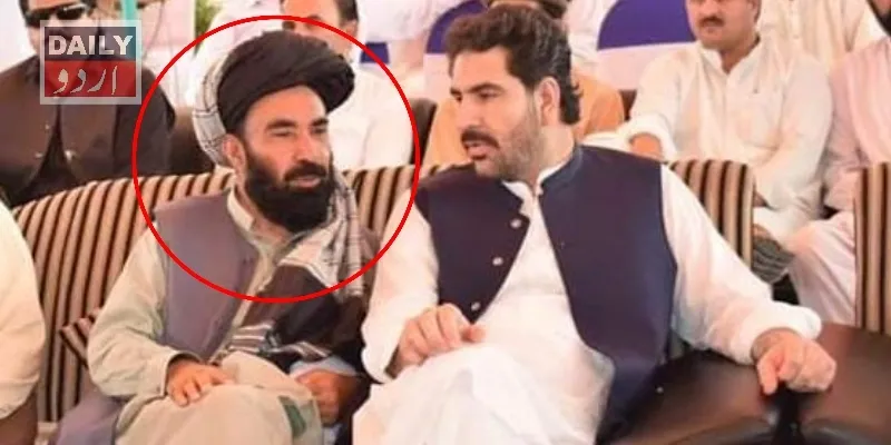 دہشتگردی
