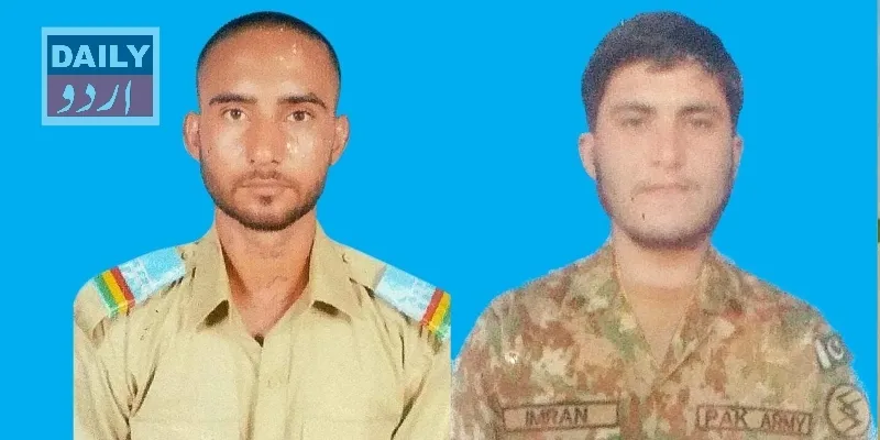 دہشتگردی