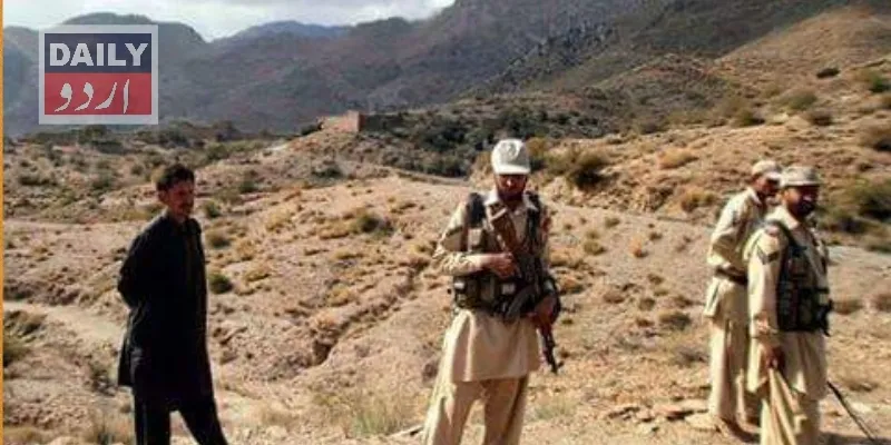 دہشتگردی
