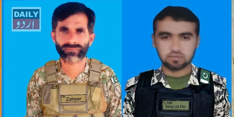 دہشتگردی