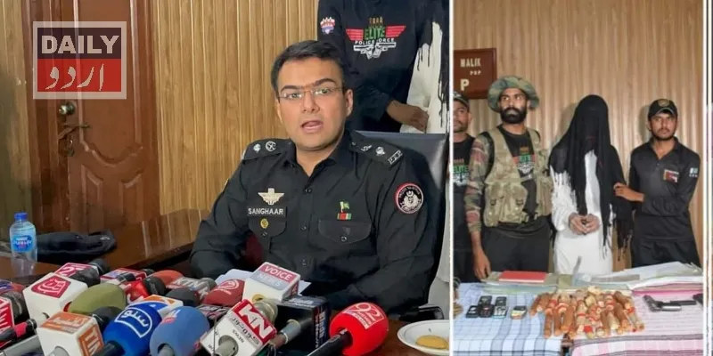 دہشتگردی