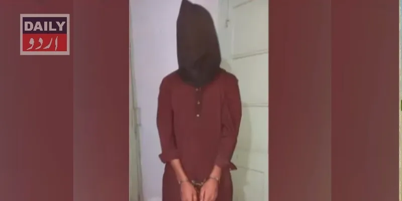 دہشتگردی