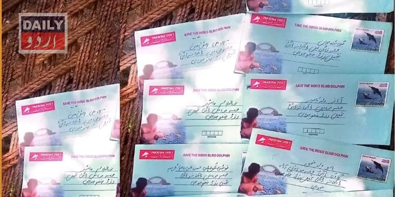 دہشتگردی
