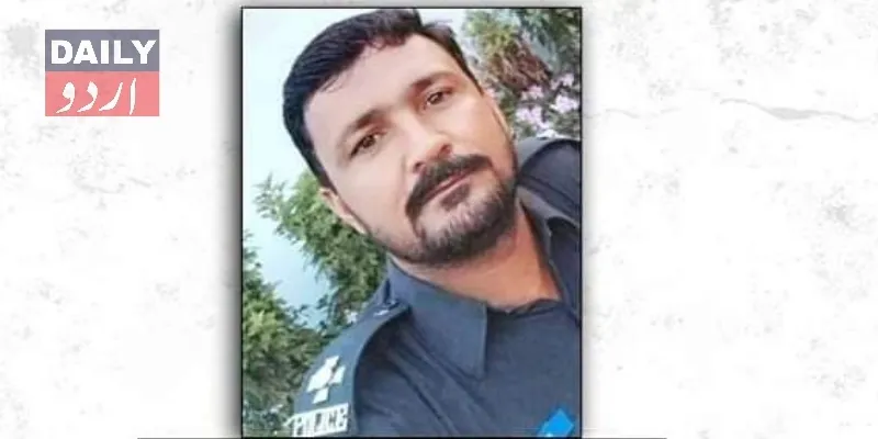 دہشتگردی