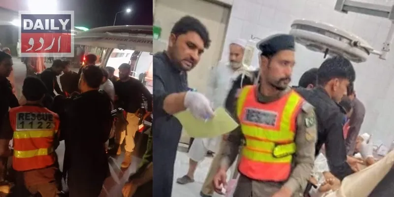 دہشتگردی