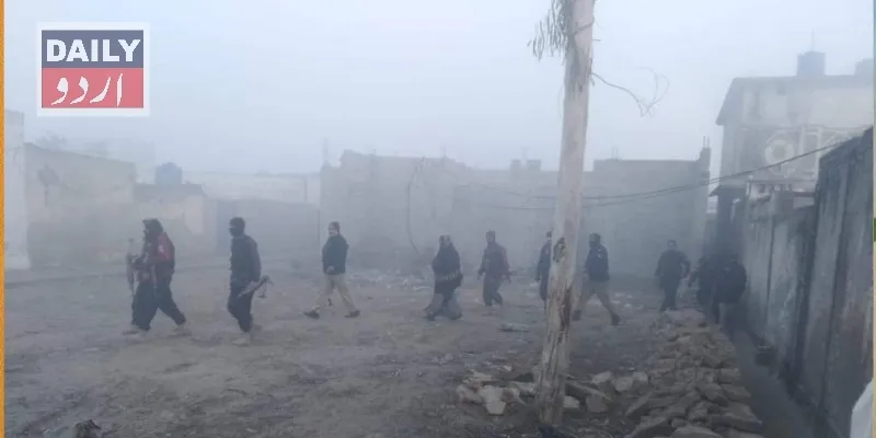 دہشتگردی