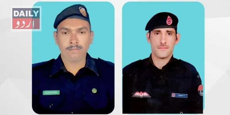 دہشتگردی