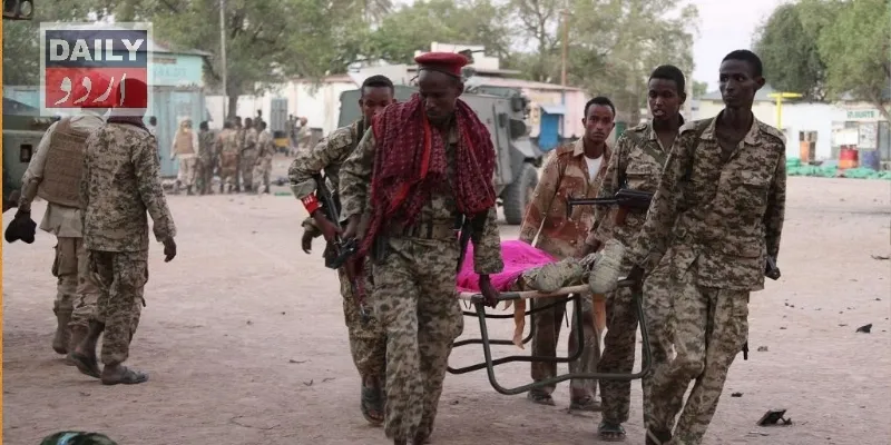 دہشتگردی