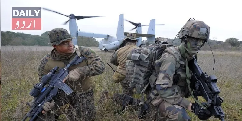 دہشتگردی