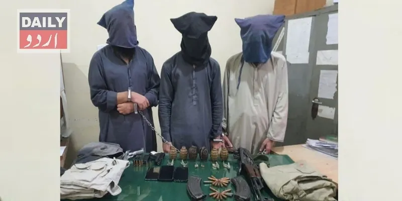 دہشتگردی