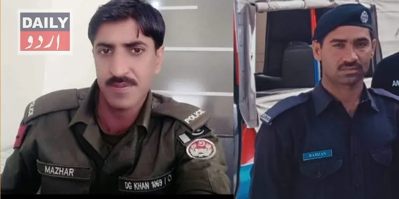 دہشتگردی