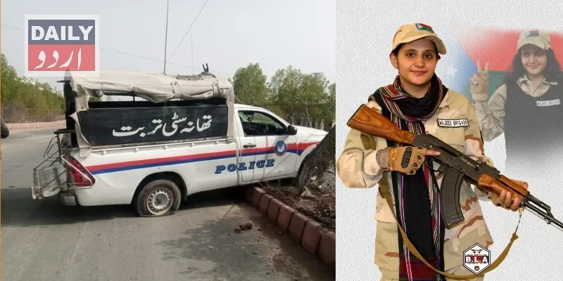 دہشتگردی