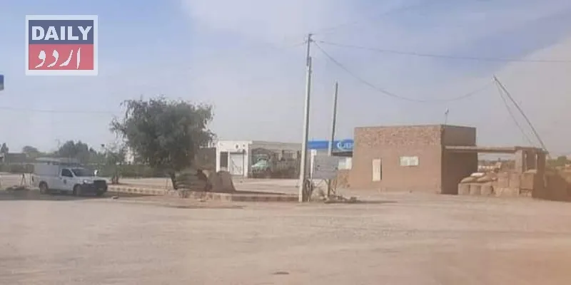 دہشتگردی