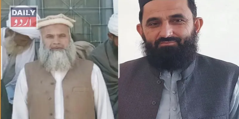 دہشتگردی