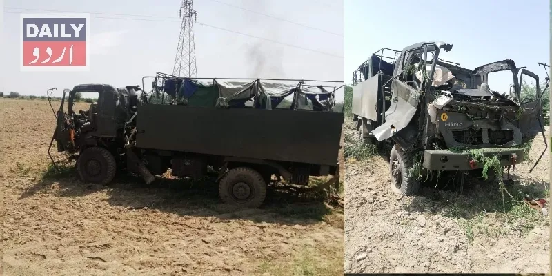دہشتگردی