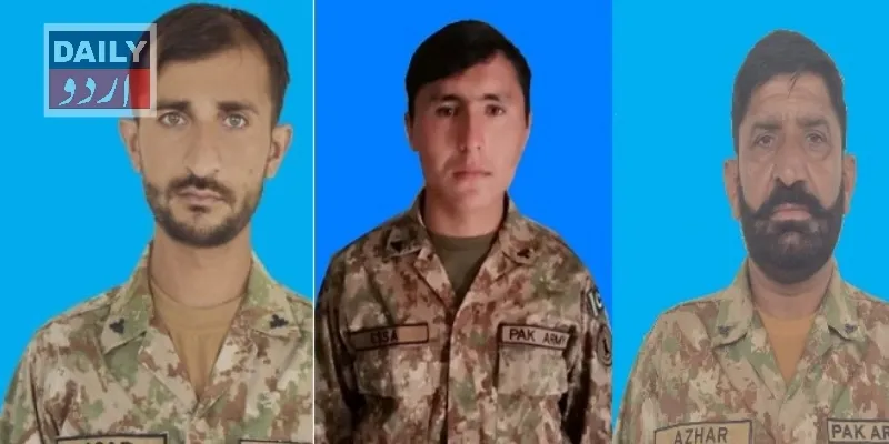 دہشتگردی