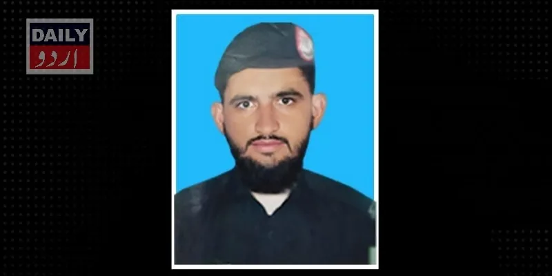 دہشتگردی