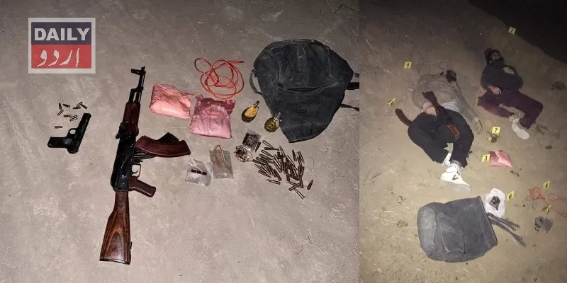دہشتگردی